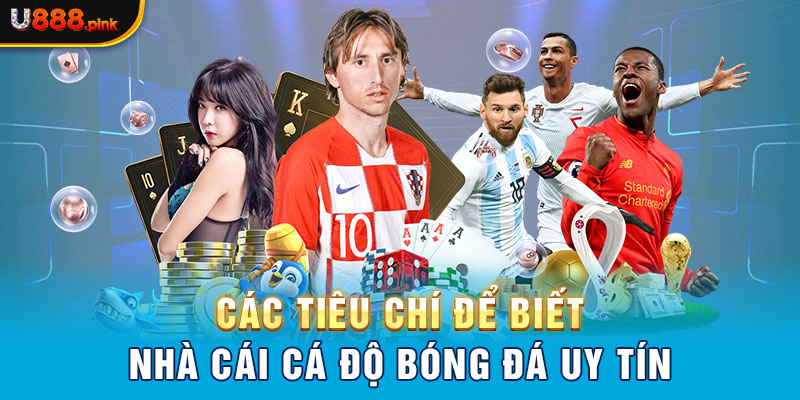 Các tiêu chí để biết nhà cái cá độ bóng đá uy tín