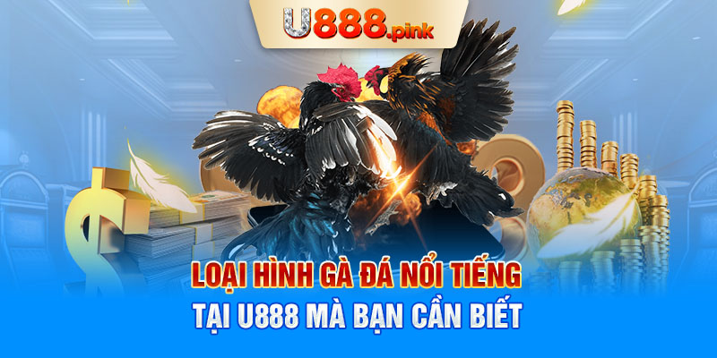 Loại hình gà đá nổi tiếng tại U888 mà bạn cần biết 